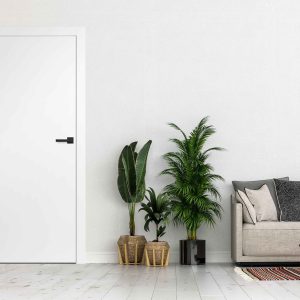 wiz UNO PREMIIUM lakierowane1